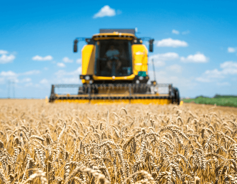 Granturi capital de lucru AGRI-FOOD nerambursabile.ro